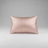 Silea 100% Mulberry Silk Pillowcase